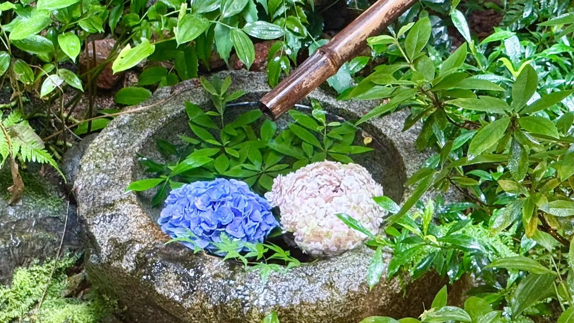 Kyoto Hiyori Mitake 日和御竹 Villa 0*,  Japan